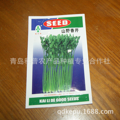 優(yōu)質(zhì)香芹種子廠家供應 高產(chǎn)芹菜種苗助您增收